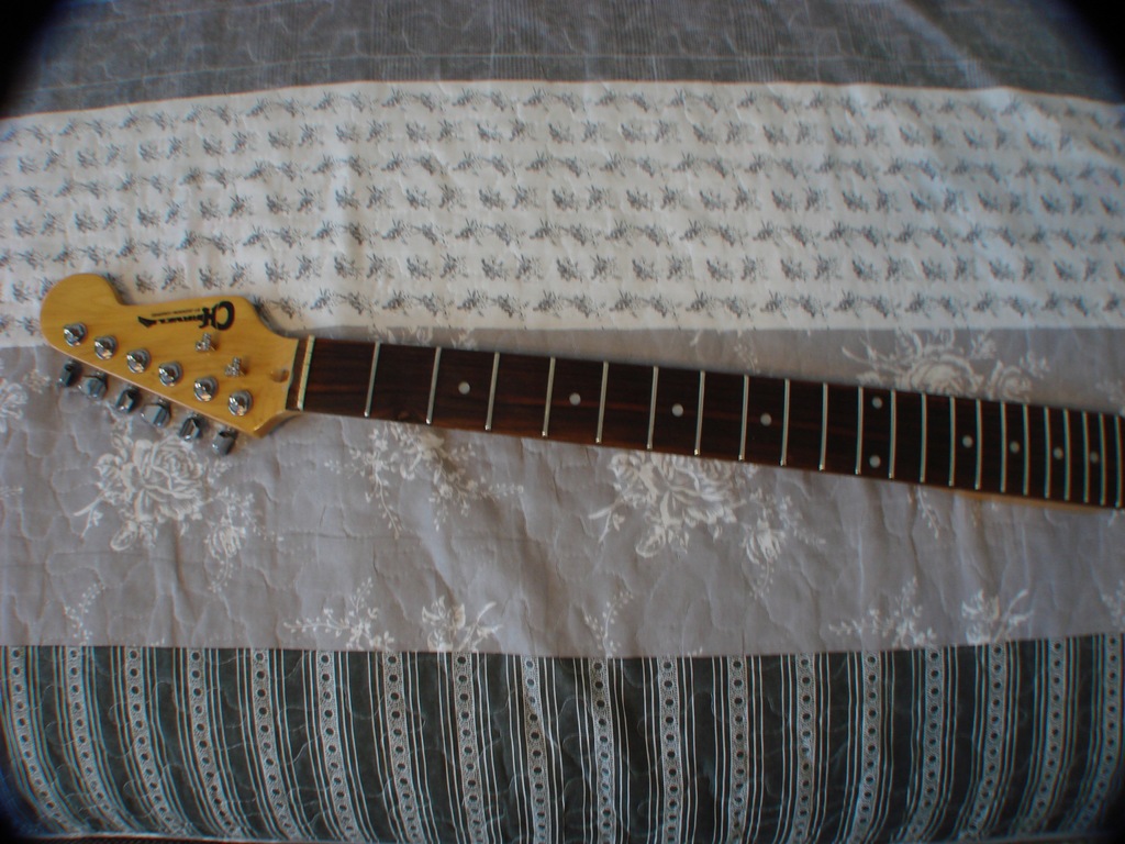 gryf stratocaster