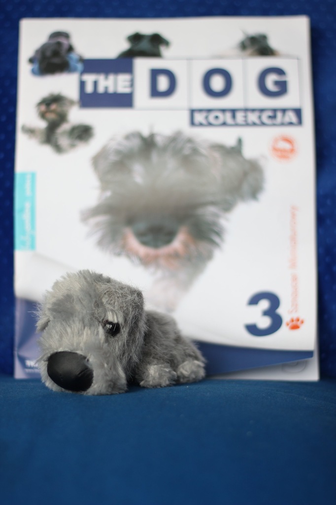 The Dog kolekcja nr.3 sznaucer miniaturowy