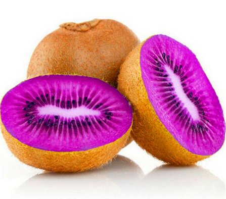 FIOLETOWE KIWI 100 SZTUK NASION - RÓŻNE RODZAJE