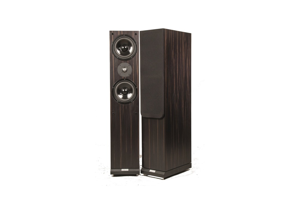 KOLUMNY  AUDIO ACADEMY HYPERION IV 4 - DĄB, HEBAN