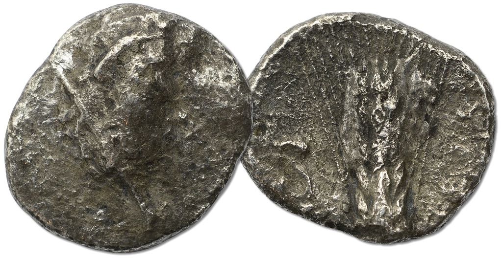 10.LUCANIA, METAPONTION, STATER 540 - 275 p.n.e.