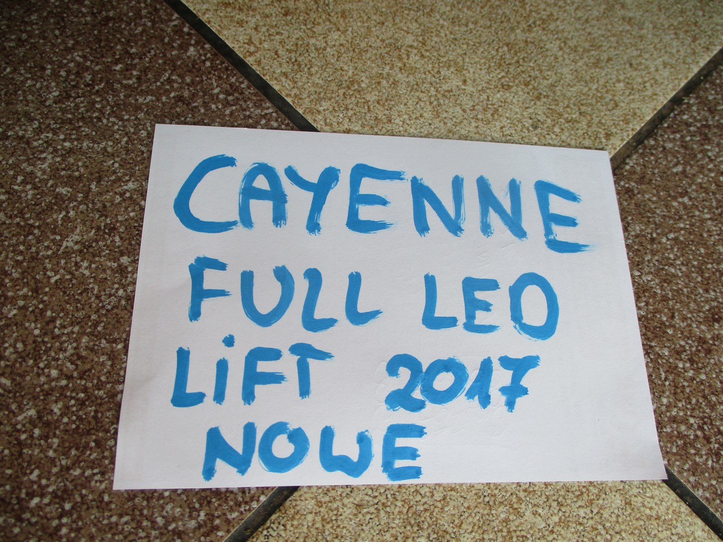 light Full LED PORSCHE CAYENNE LIFT 17R 9Y0 left