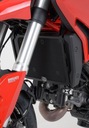 PROTECTION DE RADUATEUR DUCATI HYPERMOTARD/HYPERSTRADA photo 6 - milautoparts-fr.ukrlive.com