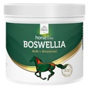 HORSE LINE Boswellia MSM добавка для суставов 500г