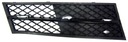 BMIN 5 F10 09-13 DEFLECTOR GRILLE IN BUMPER R photo 1 - milautoparts-fr.ukrlive.com