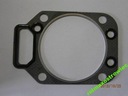 GASKET CYLINDER HEAD UNDER CYLINDER HEAD FENDT RENAULT MWM photo 1 - milautoparts-fr.ukrlive.com