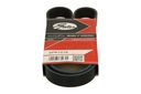 COURROIE WIELOROWK.STARY NR 68366 photo 5 - milautoparts-fr.ukrlive.com