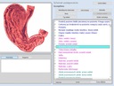 PC skener zdravia BioRezonancia NLS 18D Najnovší model Značka Inna