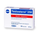 Megabol Testosterol 250 30kaps. ZVYŠUJE TESTOSTERÓN LIBIDO Forma kapsuly