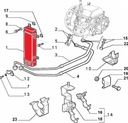 ALFA ROMEO WITH 60662797 RADIATOR OILS photo 3 - milautoparts-fr.ukrlive.com