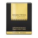 MAGNETIFICO Aphrodisiac Premium Aromatic Candle ароматическая свеча Tantra P1