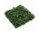 Коврик HEDERA 50x50 см зеленый плющ настенный