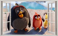 SAMOLEPKY NA STENU 3D okno Angry Birds