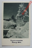 NOWY ROK MOSTEK DRZEWA przedwojenna POCZTÓWKA