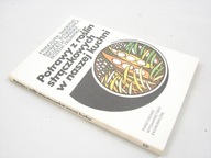 POTRAWY Z ROŚLIN STRĄCZKOWYCH W NASZEJ KUCHNI