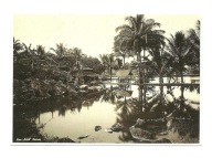 Pocztówka - Wioska i staw rybny / Jawa, ok. 1930 r.