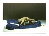 Pocztówka - Małpka kapucynka śpiąca na starej księdze