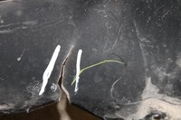 фото thumb №6, Бампер перед bmw 2 f45