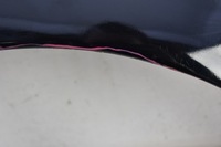 фото thumb №5, Крыло правый перед передний чёрный nissan maxima 6 vi 04-08