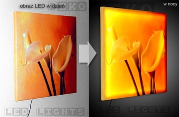 LED BLOWER PICTURE - Светодиодная подсветка и ДИСТАНЦИОННОЕ УПРАВЛЕНИЕ