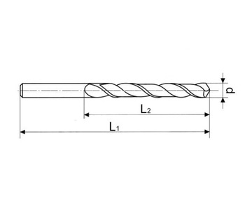 WIERTŁO DO METALU FI 2.9 MM CZARNE HSS NWKA 10 SZT