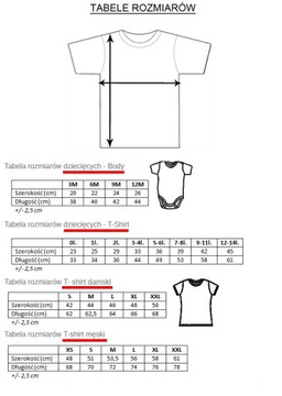 Koszulki dla TATY i SYNA ŚWIĄTECZNE body t-shirt