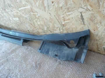 фото thumb №2, Meriva i жабо зовнішнє