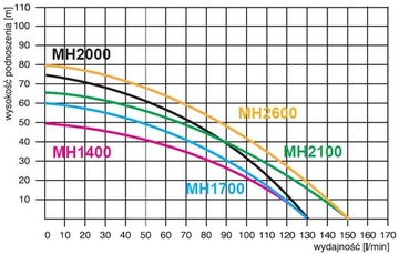 Гидрофорный насос MH2100 INOX Omnigena HYDROS