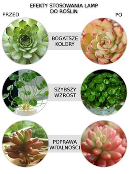 ŻARÓWKA LED GROW LIGHT DO UPRAWY ROŚLIN 20W BARWA CZERWONA