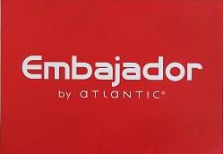 a.s Мужские шорты EMBAJADOR от ATLANTIC EEH029 XXL