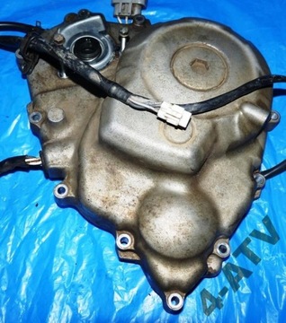 Lid protection yamaha grizzly 700, фото