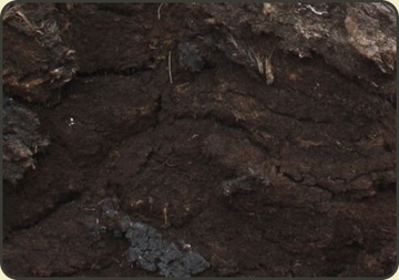 Peat sour ph 3, 5-4, 5-1 liter fly trap dewdrop, фото