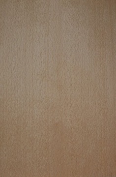 Oblog beech 51x19cm x 1, 5mm, фото