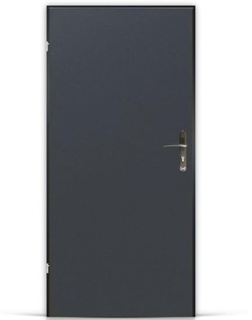 Door wejsciowe technical isolated metallic+ donkeys 100l, фото