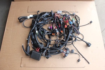 Wiring main department motor vw lupo 6e1971043, фото