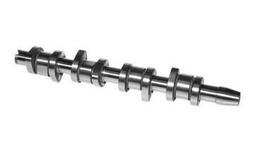 Camshaft vw t5 1.9 tdi 038109101r ajm cast iron, фото