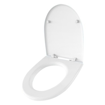 Plank toilet sanit plastic venus white duroplastic toilet bathtub, фото