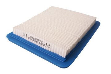 Air filter briggs& stratton quantum 625, 650, 675, фото