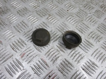 KAPPE STECKER RÜCKLICHTER LOGAN II SANDERO II