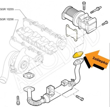 55 Заглушка EGR OPEL SAAB 1.9 CDTI TiD Z19DTH