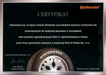 1 x 225/65R16C 112/110R Winterstar 4 ШИНЫ VAN Point S ЗИМНИЕ