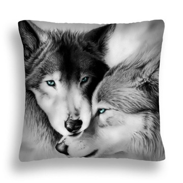 PODUSZKA WILKI 18 JASIEK 40x40 PARA LOVE PL 24H