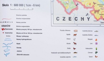 ПОЛЬША - СЕЛЬСКОЕ ХОЗЯЙСТВО В ПОЛЬШЕ ШКОЛЬНАЯ НАСТЕННАЯ КАРТА