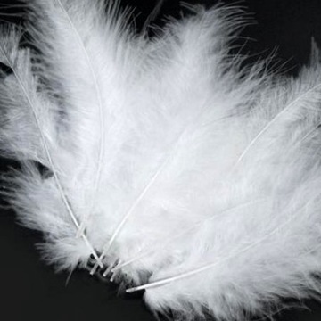 PIÓRKA prawdziwe duże białe ŚWIĘTA CHOINKA