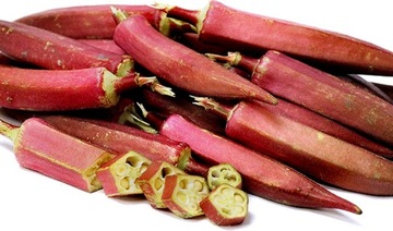 Zdrowa Okra, Ketmia jadalna Burgundy - nasiona