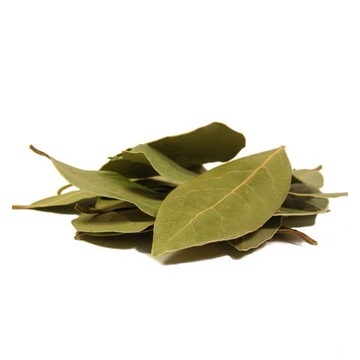 LIŚĆ LAUROWY, LIŚCIE LAUROWE 100g aromatyczny naturalny + NIESPODZIANKA