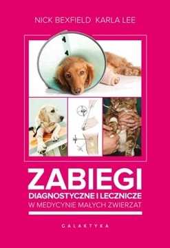 Zabiegi diagnostyczne i lecznicze psów i kotów