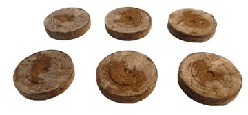 JIFFY KRĄŻKI TORFOWE 44MM 10 SZT DO WYSIEWU pH6