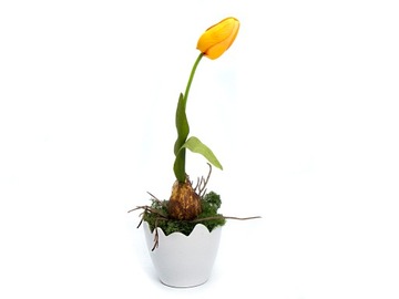 PIĘKNY TULIPAN W DONICZCE ŻÓŁTY DEKORACJA 28cm