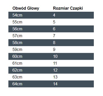 Бюст маршала Юзефа Пилсудского.